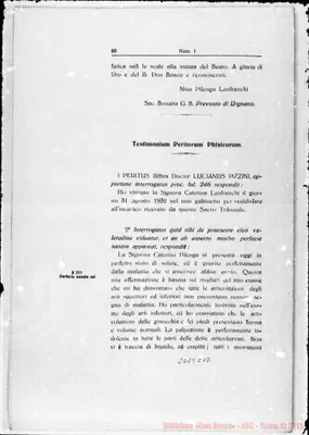 Fotogramma C 12
