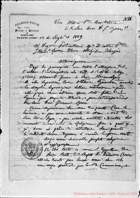 Fotogramma D 3