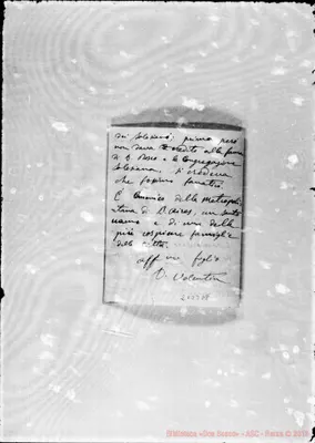 Fotogramma D 8