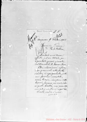 Fotogramma D 12