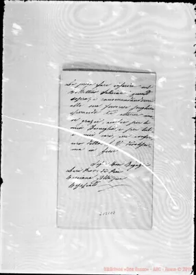 Fotogramma E 8