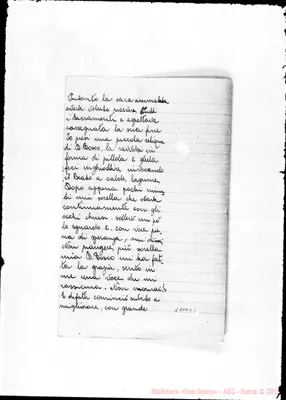 Fotogramma D 3