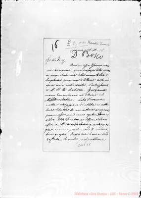 Fotogramma D 5