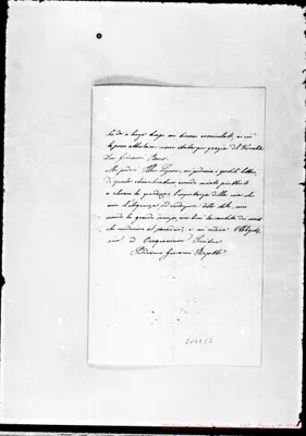 Fotogramma C 2