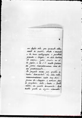 Fotogramma C 6