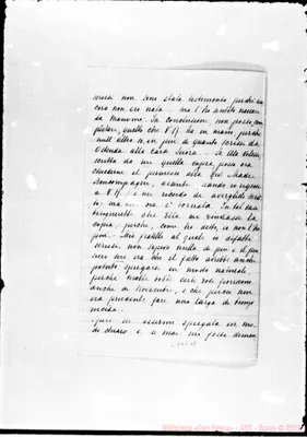 Fotogramma D 7