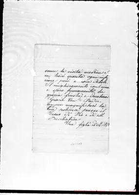 Fotogramma D 7