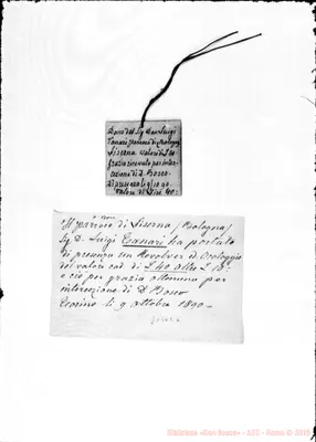 Fotogramma E 6