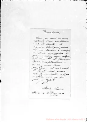 Fotogramma D 12
