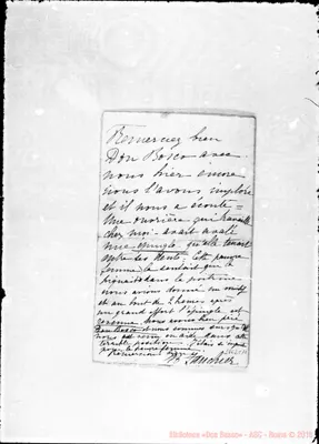 Fotogramma C 11