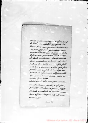 Fotogramma D 8
