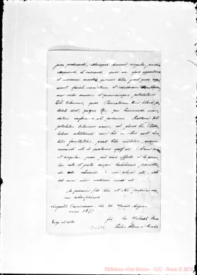 Fotogramma E 8
