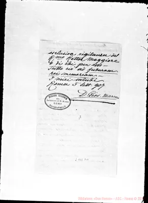 Fotogramma D 11