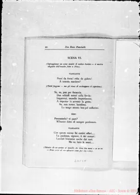 Fotogramma C 11