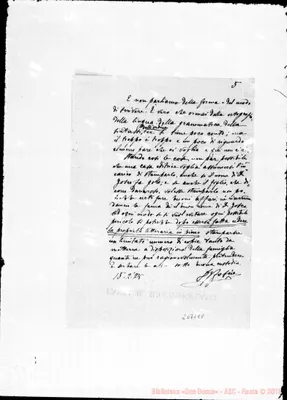 Fotogramma E 8