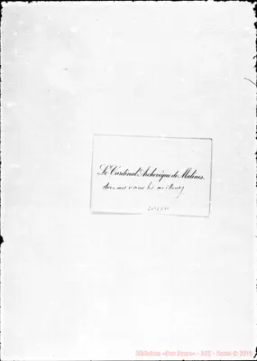 Fotogramma C 10