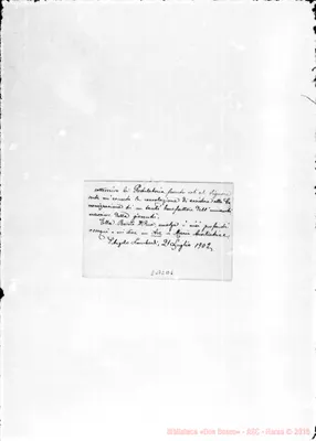 Fotogramma D 6