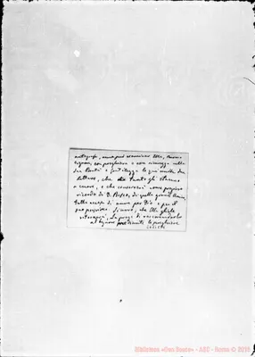Fotogramma C 11