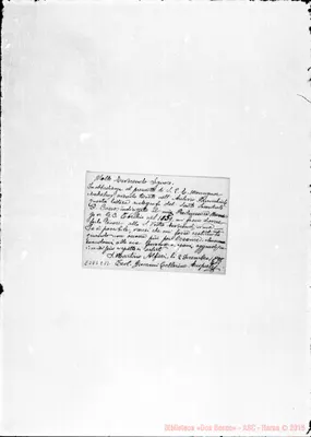 Fotogramma C 12