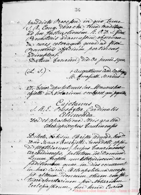 Fotogramma C 1