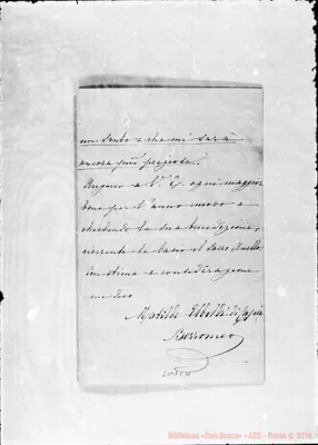 Fotogramma C 11