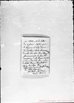 Fotogramma D 6