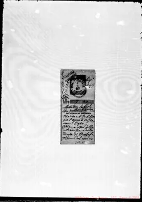 Fotogramma D 7