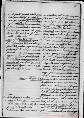 Fotogramma C 11