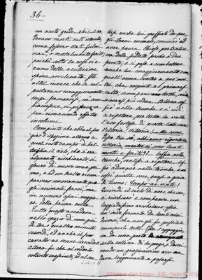 Fotogramma C 11