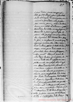 Fotogramma C 2