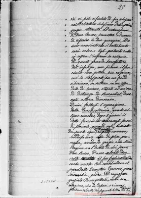 Fotogramma D 11