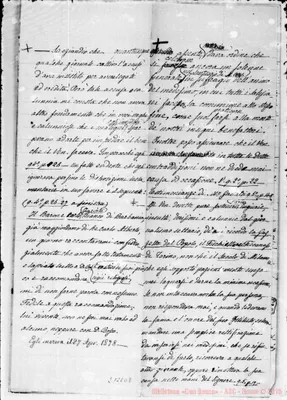 Fotogramma D 8