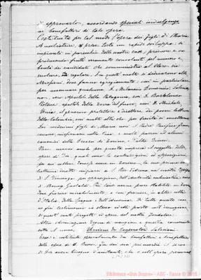 Fotogramma D 11