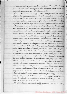 Fotogramma D 11