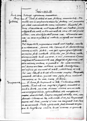 Fotogramma C 7
