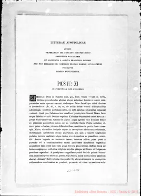 Fotogramma B 8