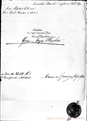 Fotogramma D 12