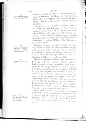 Fotogramma E 10