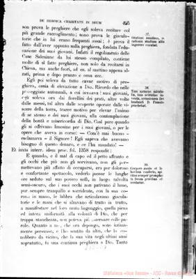 Fotogramma C 7