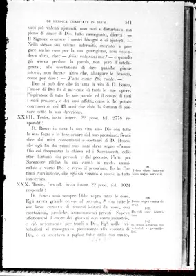 Fotogramma D 11