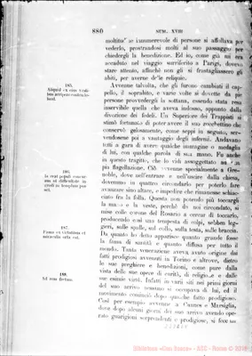 Fotogramma E 8