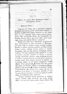 Fotogramma D 11