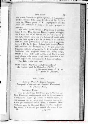 Fotogramma D 11