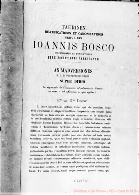 Fotogramma E 11