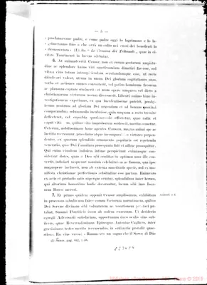 Fotogramma C 4