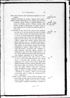 Fotogramma E 9
