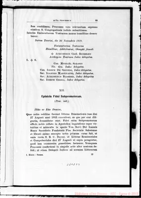 Fotogramma E 9