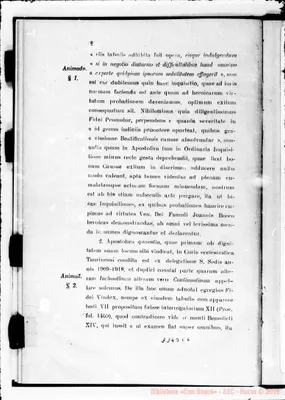Fotogramma C 6