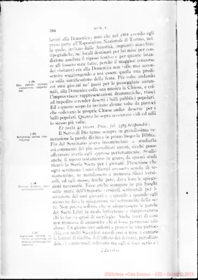 Fotogramma A 11