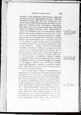 Fotogramma D 10